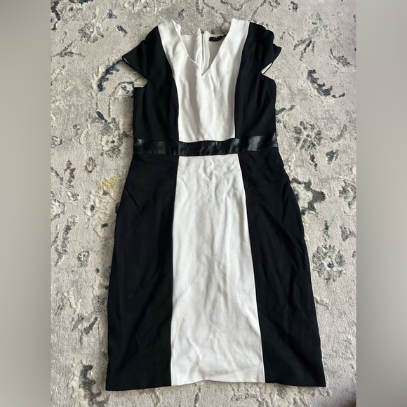 Cynthia Steffe Monochrome Panel Dress - Picture 1 of 3